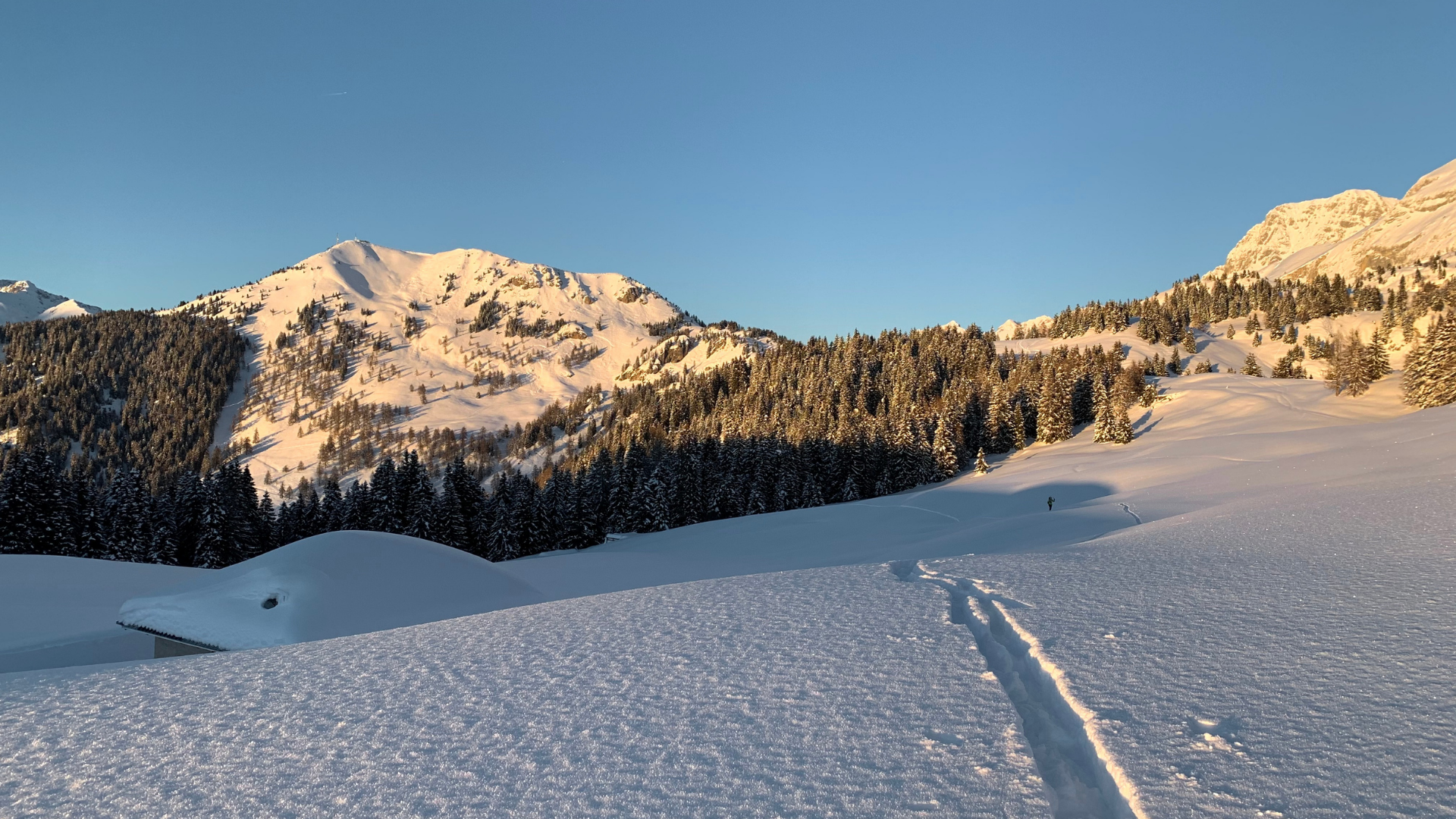 hotel ferrari hotel ferrari